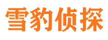 临洮寻人公司